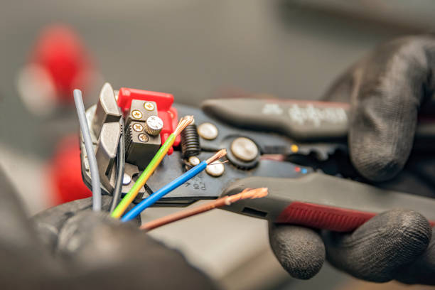 Best Electrical Upgrades for Homes  in Black Hammock, FL