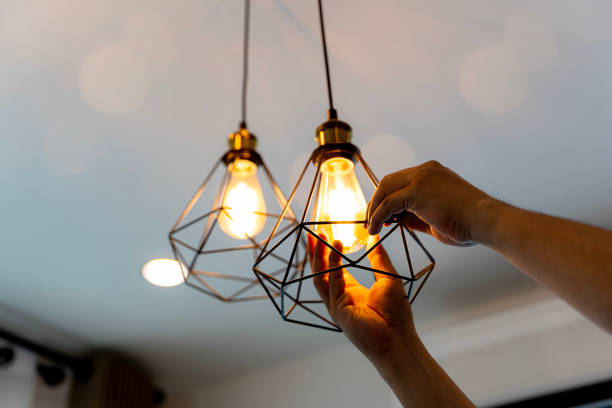 Best Electrician for Home Renovation  in Black Hammock, FL