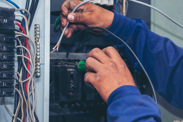 Best Electrical Upgrades for Homes  in Black Hammock, FL